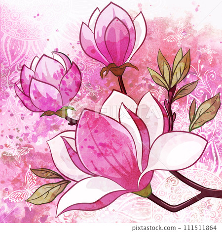 Magnolia Flowers 111511864