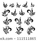 Set Floral Patterns, Contours 111511865