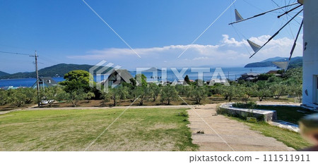 Shodoshima Shodoshima 111511911