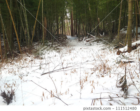 Snowy mountain road 111512480