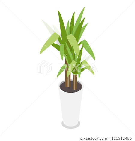 3D Isometric Flat Vector Set of Houseplants. Item 2 111512490