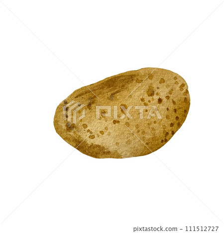 Potato whole tuber brown fresh watercolor sketch 111512727