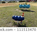 Park playset 111513470