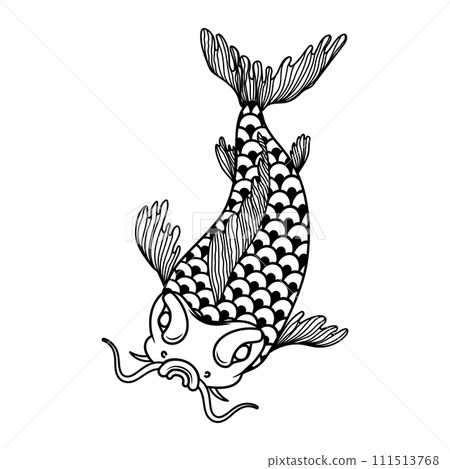Illustration of carp koi. Design element for poster, card, banner, menu. Vector illustration 111513768