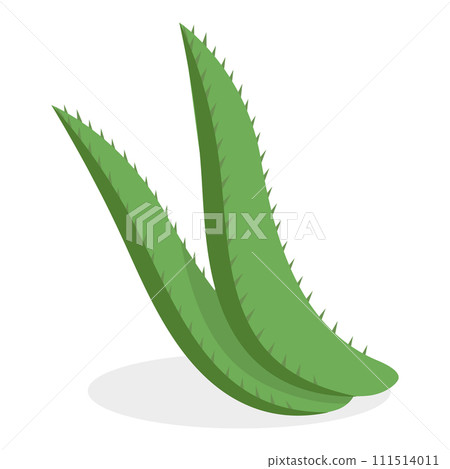3D Isometric Flat Vector Set of Medical Herbs And Berries. Item 4 3D Isometric Flat Vector Set of Medical Herbs And Berries. Item 4 111514011