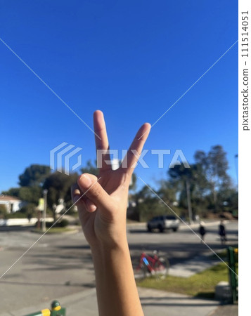 empty bench in the park empty bench in the park 111514051