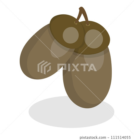 3D Isometric Flat Vector Set of Acorns And Cones. Item 1 3D Isometric Flat Vector Set of Acorns And Cones. Item 1 111514055