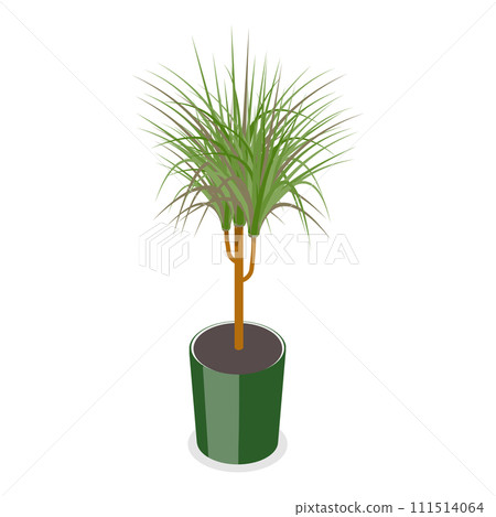 3D Isometric Flat Vector Set of Houseplants. Item 3 111514064