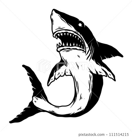 Illustration of angry shark in monochrome style. Design element for logo, label, sign, emblem, poster. Vector illustration Illustration of angry shark in monochrome style. Design element for logo, label, sign, emblem, poster. Vector illustration 111514215