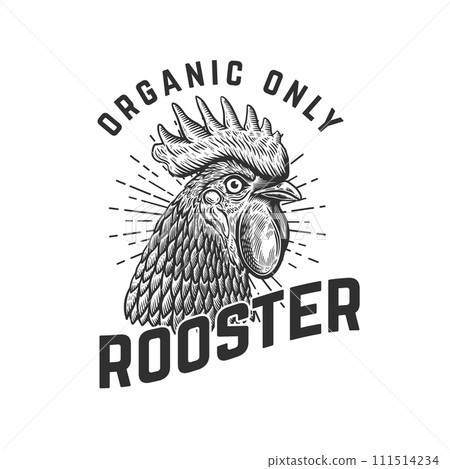 Illustration of rooster head in monochrome style. Design element for logo, label, sign, emblem, poster. Vector illustration Illustration of rooster head in monochrome style. Design element for logo, label, sign, emblem, poster. Vector illustration 111514234