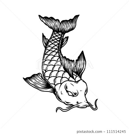 Illustration of carp koi. Design element for poster, card, banner, menu. Vector illustration 111514245