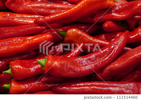 fresh organic red pepper from farm close up from different angle, green paprika in the grocery store 111514460