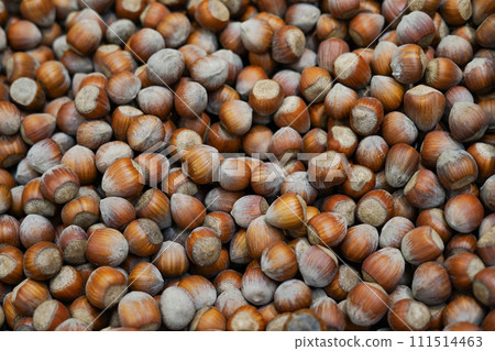 Photo of hazelnut. Hazelnut nut health organic brown filbert autumn background concept. Food background. Photo of hazelnut. Hazelnut nut health organic brown filbert autumn background concept. Food background. 111514463