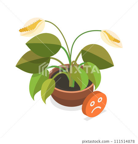 3D Isometric Flat Vector Illustration of Dying Plant. Item 2 111514878