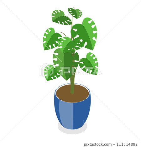 3D Isometric Flat Vector Set of Houseplants. Item 6 111514892