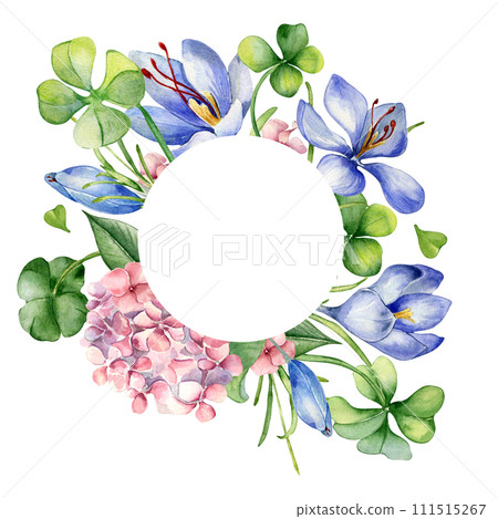 Circle frame with flowers and shamrock watercolor illustration isolated on white. Painted pink hydrangea flowers frame. Hand drawn Irish symbol. Design for St.Patricks day, Easter, springtime, package 111515267