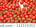 很多紅色迷你番茄 111515351