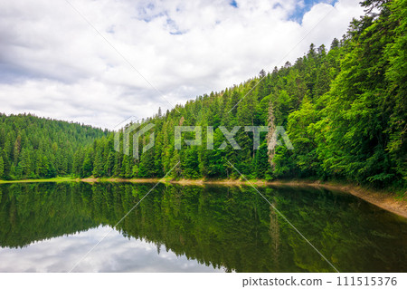 lake of synevyr national park in summer. forested hills of carpathian mountains reflecting on the water surface. cloudy weather. popular travel destination of ukraine lake of synevyr national park in summer. forested hills of carpathian mountains reflecting on the water surface. cloudy weather. popular travel destination of ukraine 111515376