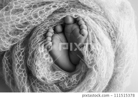 The tiny foot of a newborn baby. Soft feet of a new born in a wool blanket. Close up of toes, heels and feet of a newborn. Black and white Macro photography. The tiny foot of a newborn baby. Soft feet of a new born in a wool blanket. Close up of toes, heels and feet of a newborn. Black and white Macro photography. 111515378
