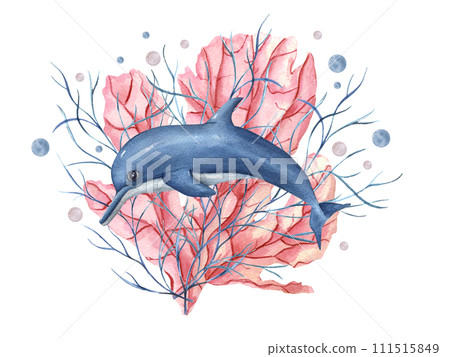 Blue dolphin among pink coral, underwater plants. Pink, blue water bubbles. Coral reef. Hand painted watercolor oceanic illustration. Aquatic card for design, print, background Blue dolphin among pink coral, underwater plants. Pink, blue water bubbles. Coral reef. Hand painted watercolor oceanic illustration. Aquatic card for design, print, background 111515849