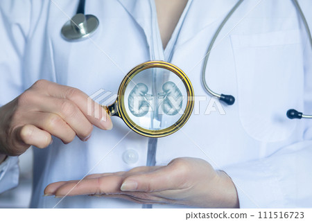 Concept of diagnosis and examination of the kidneys of a patient. 111516723
