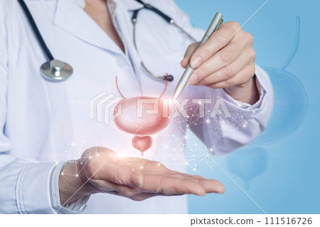 Doctor shows bladder and prostate . 111516726