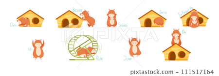 Cute Hamster Demonstrating English Verbs and Prepositions of Place and Movement Vector Set Cute Hamster Demonstrating English Verbs and Prepositions of Place and Movement Vector Set 111517164