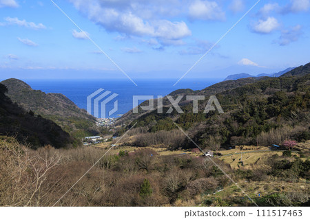 Early spring in the rice terraces of Ishibe, Matsuzaki Town, Shizuoka Prefecture overlooking Suruga Bay (you can also see Mt. Fuji) Early spring in the rice terraces of Ishibe, Matsuzaki Town, Shizuoka Prefecture overlooking Suruga Bay (you can also see Mt. Fuji) 111517463