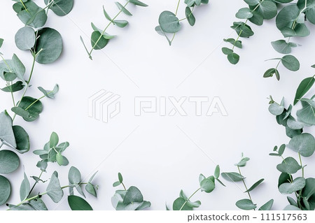 Frame with branches isolated on white background. flat lay 111517563