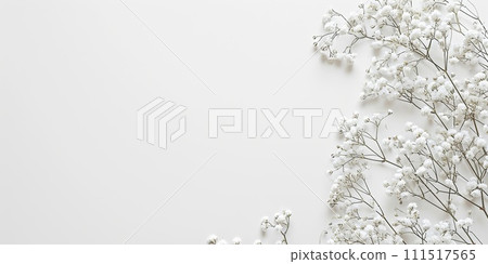 Wildflowers on white background. Flat lay, top view. 111517565