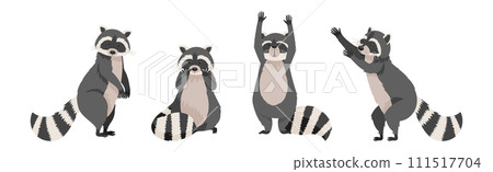 Funny Raccoon with Front Paws and Ringed Tail Vector Set Funny Raccoon with Front Paws and Ringed Tail Vector Set 111517704
