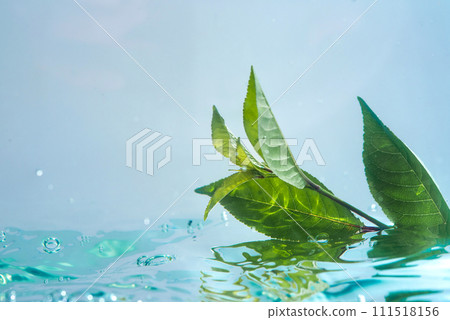 Green natural leaf floats in clear water on a wave. The concept of clean water, purification of water bodies, protection of nature and purification of water bodies. Eco-concept 111518156