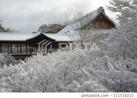 雪中的東福寺,從京都市東山區高雲橋眺望通天橋 雪中的東福寺,從京都市東山區高雲橋眺望通天橋 111518213