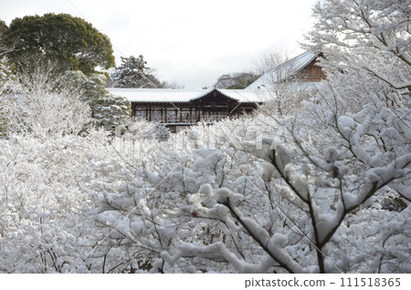 雪中的東福寺,從京都市東山區高雲橋眺望通天橋 雪中的東福寺,從京都市東山區高雲橋眺望通天橋 111518365
