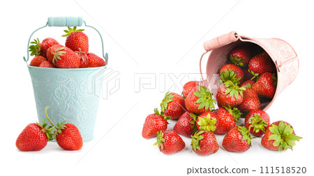 Ripe appetizing strawberries in a bucket isolated on a white. Collage. Wide photo. There is free space for text. Ripe appetizing strawberries in a bucket isolated on a white. Collage. Wide photo. There is free space for text. 111518520