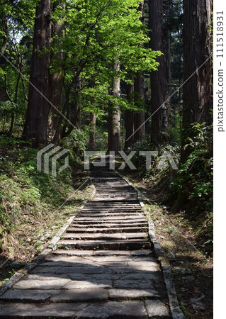 The stone steps of Mt. Haguroyama 2446 steps is the best in Japan at a shrine The stone steps of Mt. Haguroyama 2446 steps is the best in Japan at a shrine 111518931