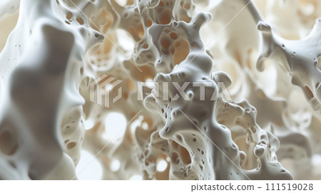Calcium Chronicles: Exploring Bone Mass and Structure. Generative AI 111519028