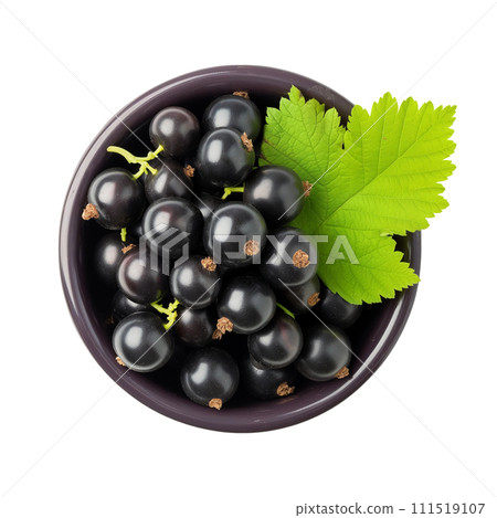 Black currant and green leaf in bowl 111519107