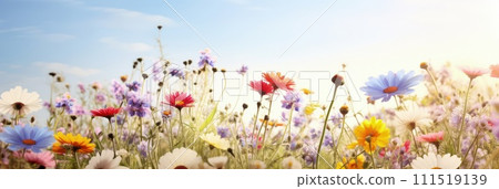 Beautiful celebration spring flowers on pastel background. Concept Birthday, Mothers Day, Womens Day, March 8. Spring easter flower background. Spring, easter greeting card design layout. Copy space. Beautiful celebration spring flowers on pastel background. Concept Birthday, Mothers Day, Womens Day, March 8. Spring easter flower background. Spring, easter greeting card design layout. Copy space. 111519139