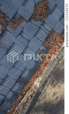 Aerial drone view of residential rain gutter eavestrough filled with pine needles and tree debris 111519374