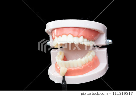 Artificial Tooth Plastic jaw check compare color with real crown. Dentist compare crown color Teeth of dental jaw model before operation. Black background isolated 111519517