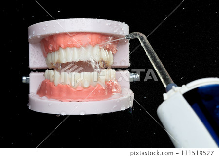 Artificial Tooth Plastic jaw clean with water spray jet. Teeth of dental jaw model spray with water to clean up on daily brush. Black background isolated 111519527