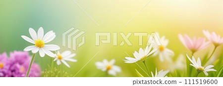 Beautiful celebration spring flowers on pastel background. Concept Birthday, Mothers Day, Womens Day, March 8. Spring easter flower background. Spring, easter greeting card design layout. Copy space. 111519600