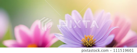 Beautiful celebration spring flowers on pastel background. Concept Birthday, Mothers Day, Womens Day, March 8. Spring easter flower background. Spring, easter greeting card design layout. Copy space. 111519601