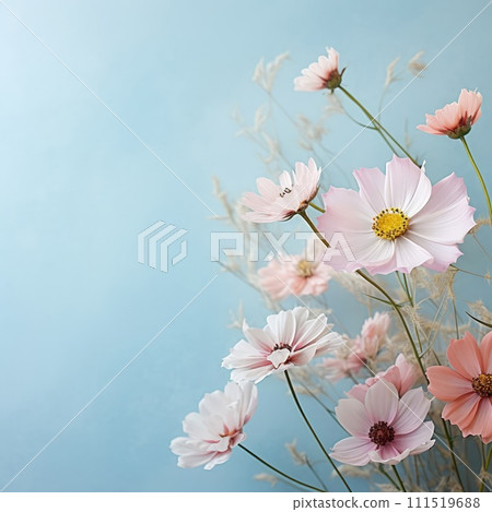Beautiful celebration spring flowers on pastel background. Concept Birthday, Mothers Day, Womens Day, March 8. Spring easter flower background. Spring, easter greeting card design layout. Copy space. 111519688