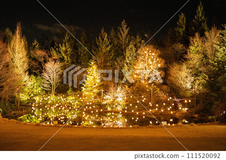 花園照明 111520092