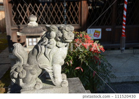 弘神神社 小犬 京都市上京區弘神町 弘神神社 小犬 京都市上京區弘神町 111520430