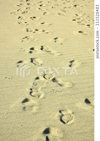 沙灘上留下的腳印 111520483
