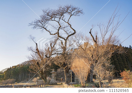 Tochigi Yugyoyu at dusk (Nasu Town) 111520565