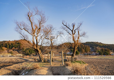 Tochigi Yugyoyu at dusk (Nasu Town) 111520566